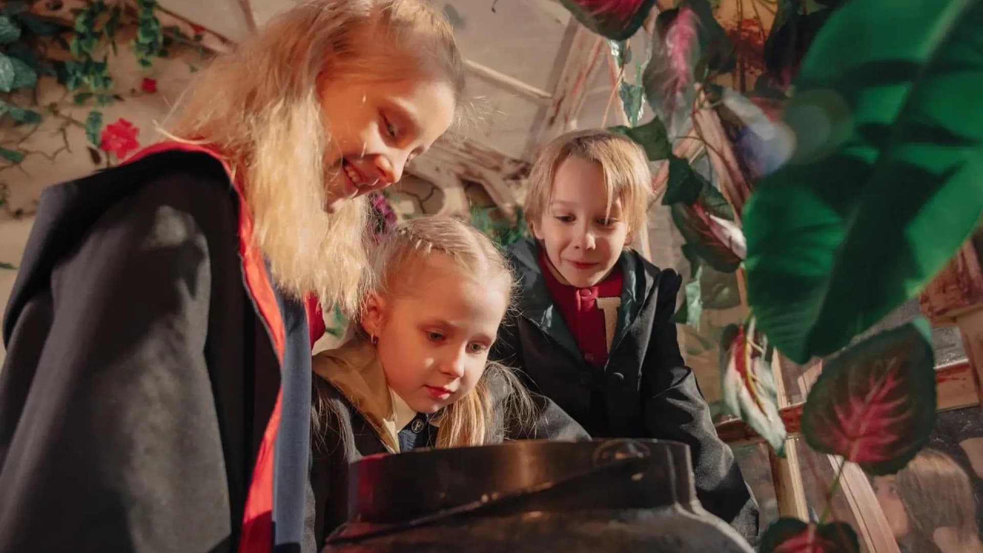 Изображение услуги6