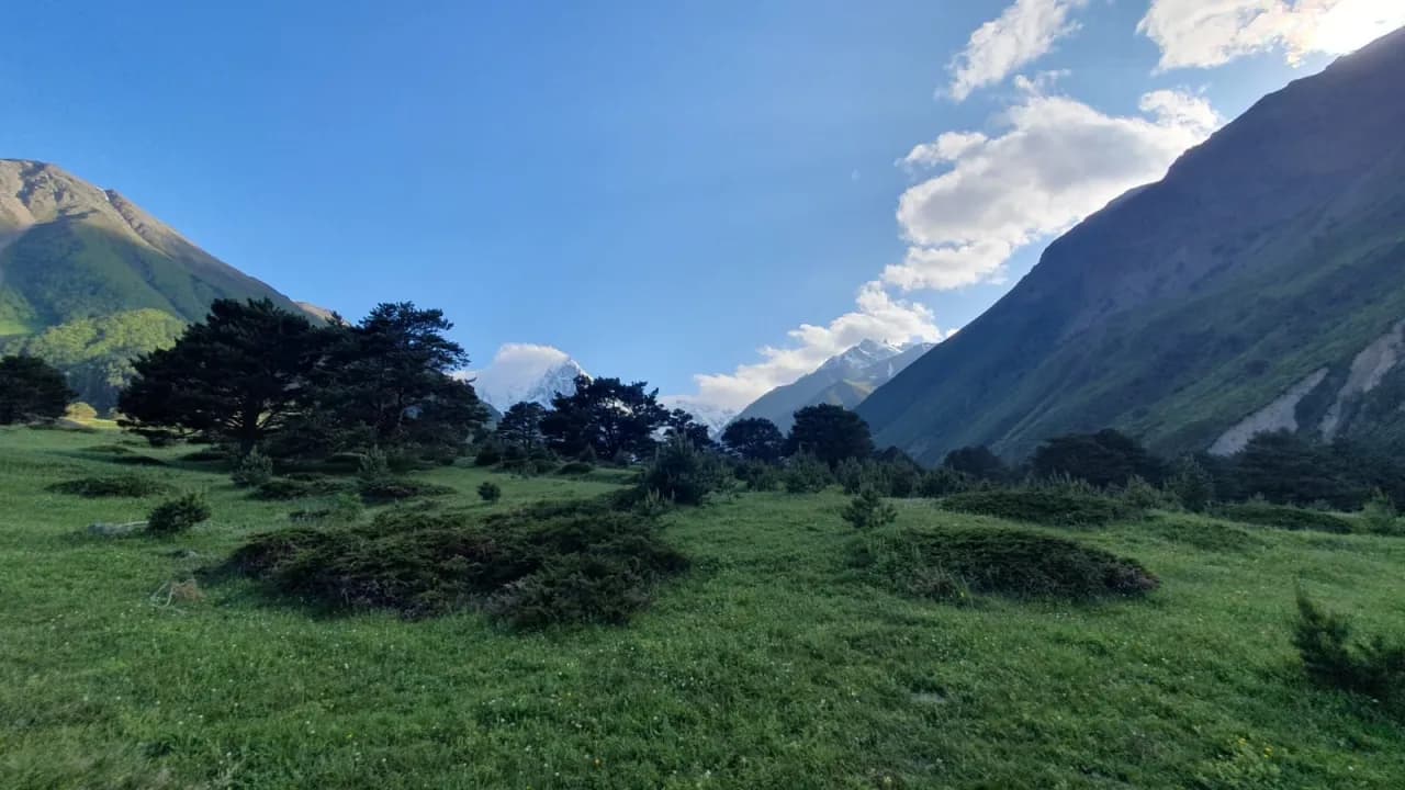 Изображение услуги1