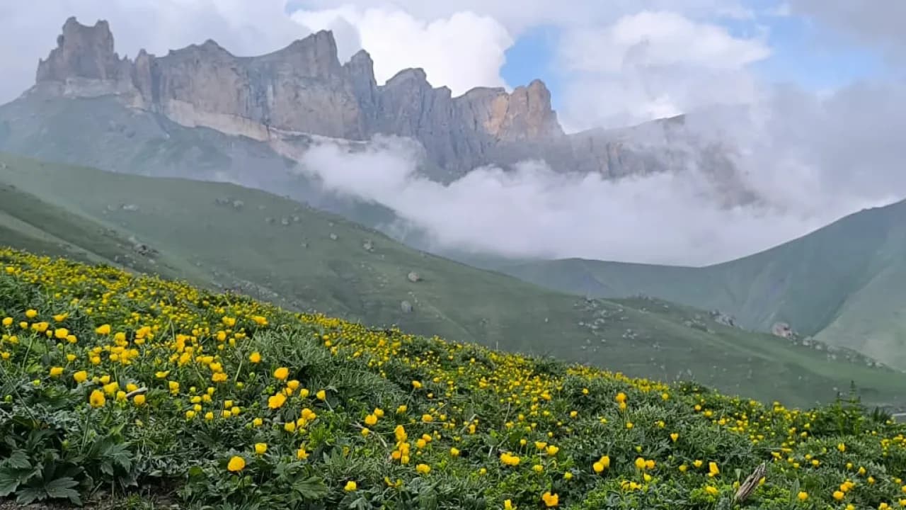 Изображение услуги3