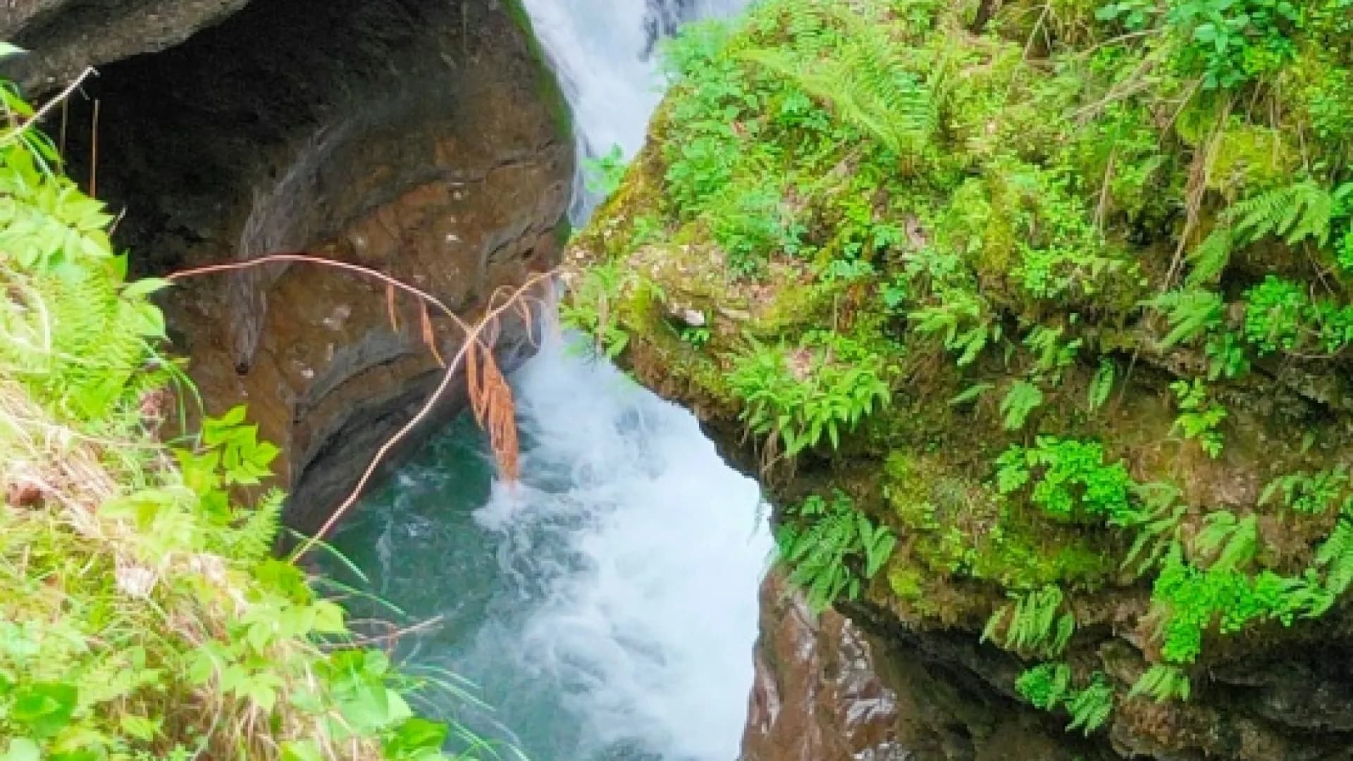 Изображение услуги3