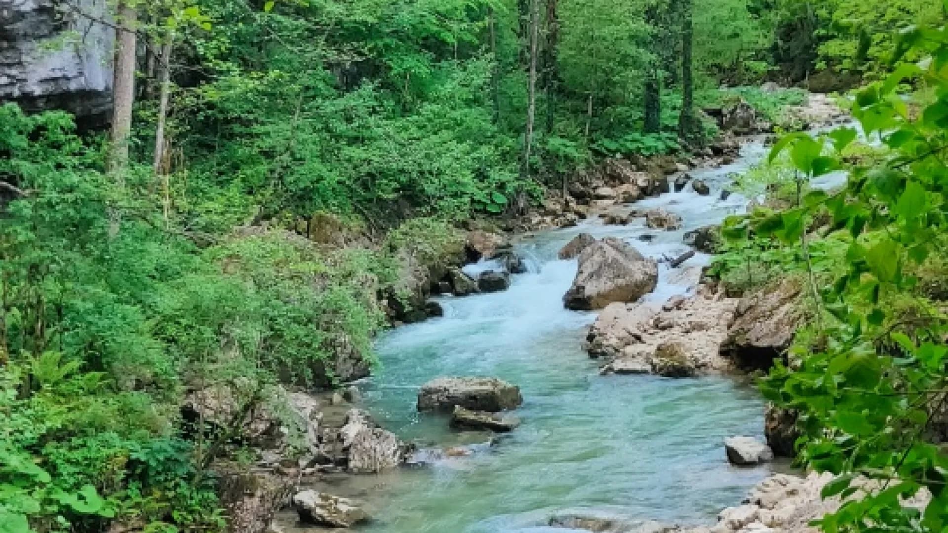 Изображение услуги4