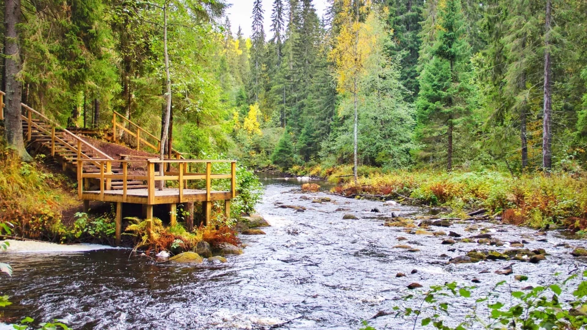 Изображение услуги0