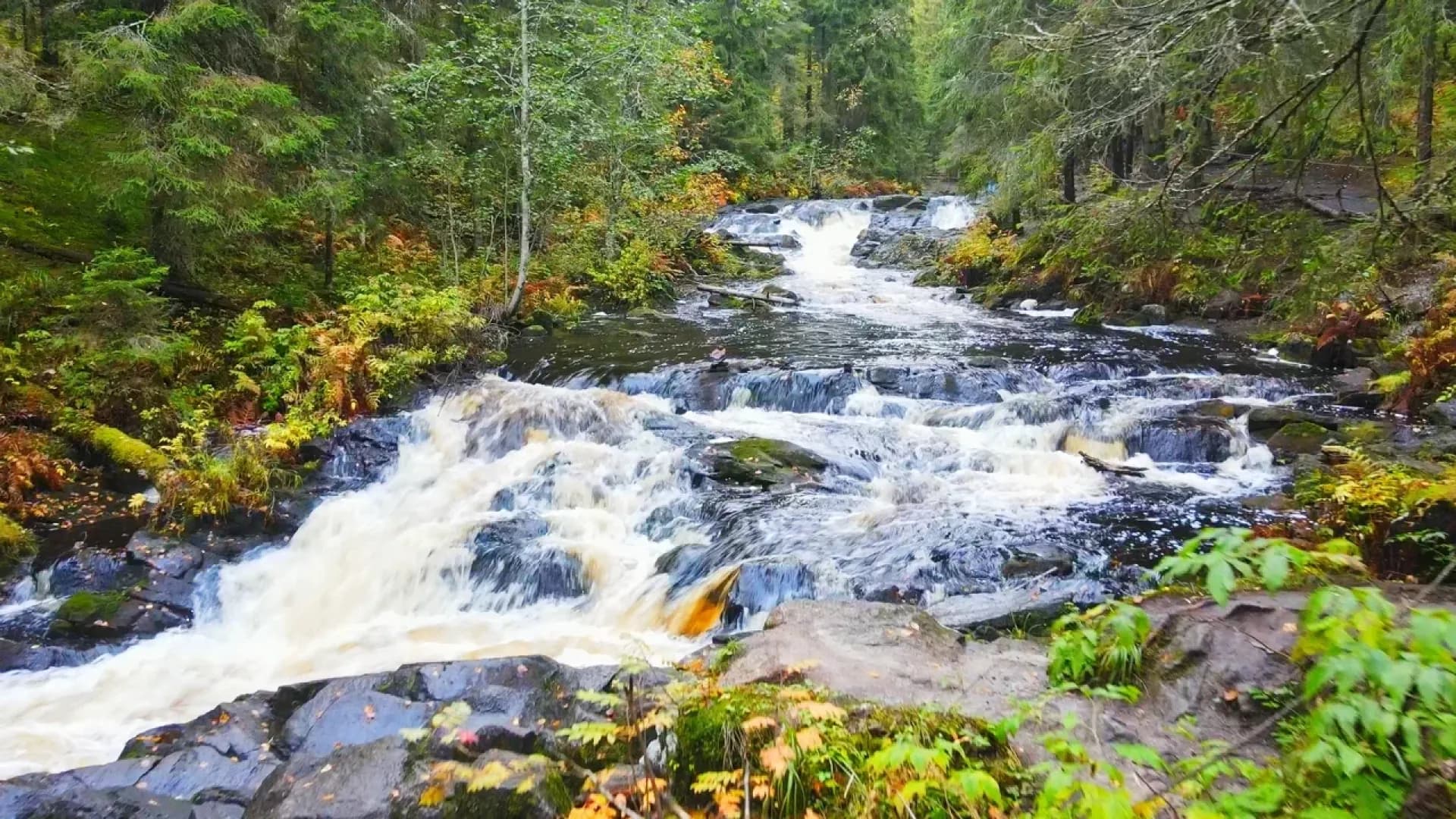 Изображение услуги1