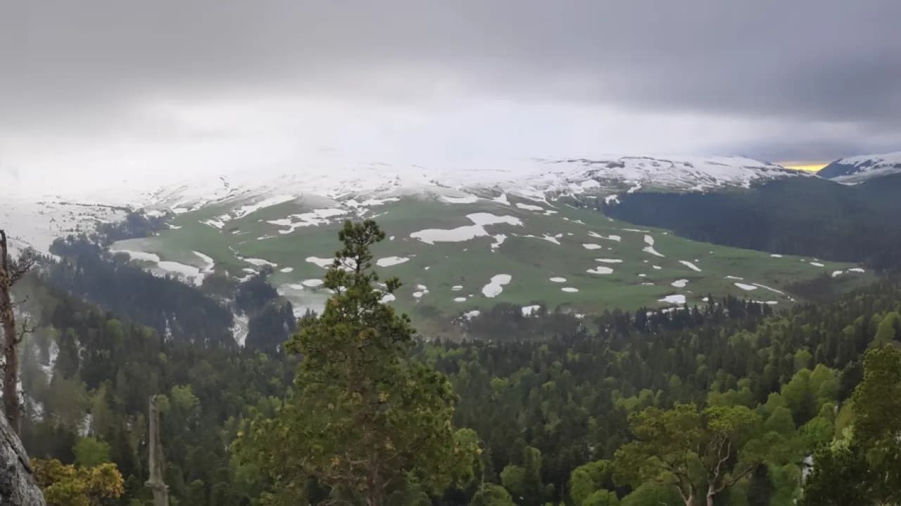 Изображение услуги1