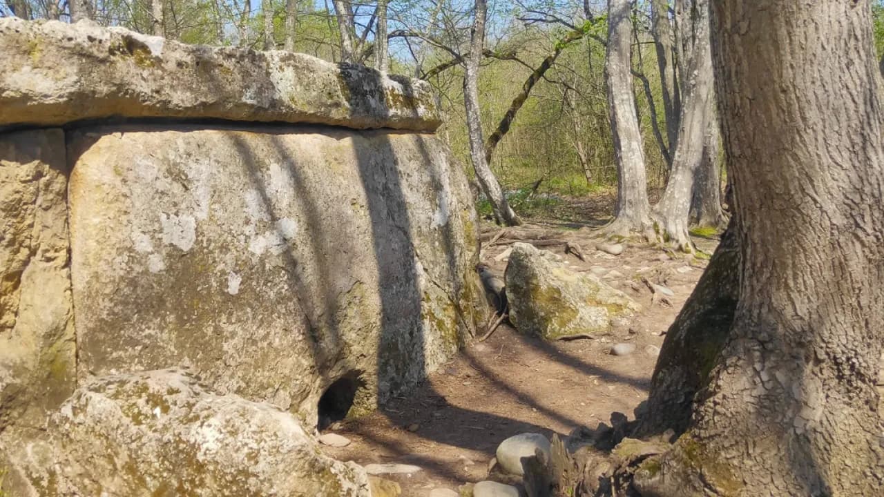 Изображение услуги3