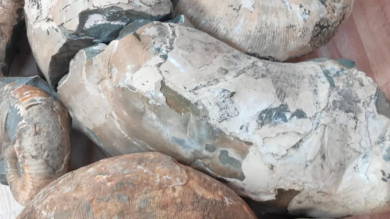 Изображение услуги4