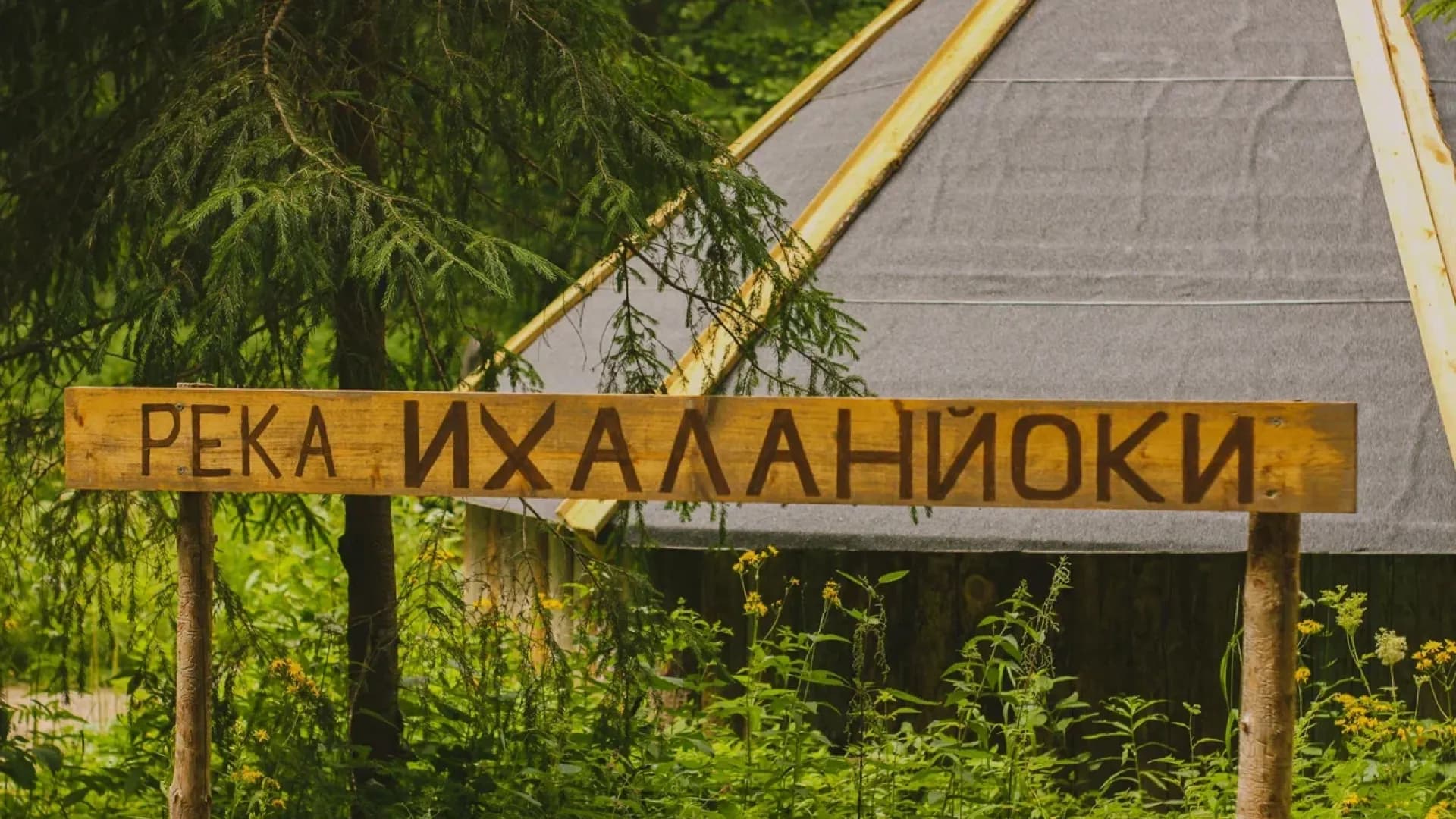 Изображение услуги6