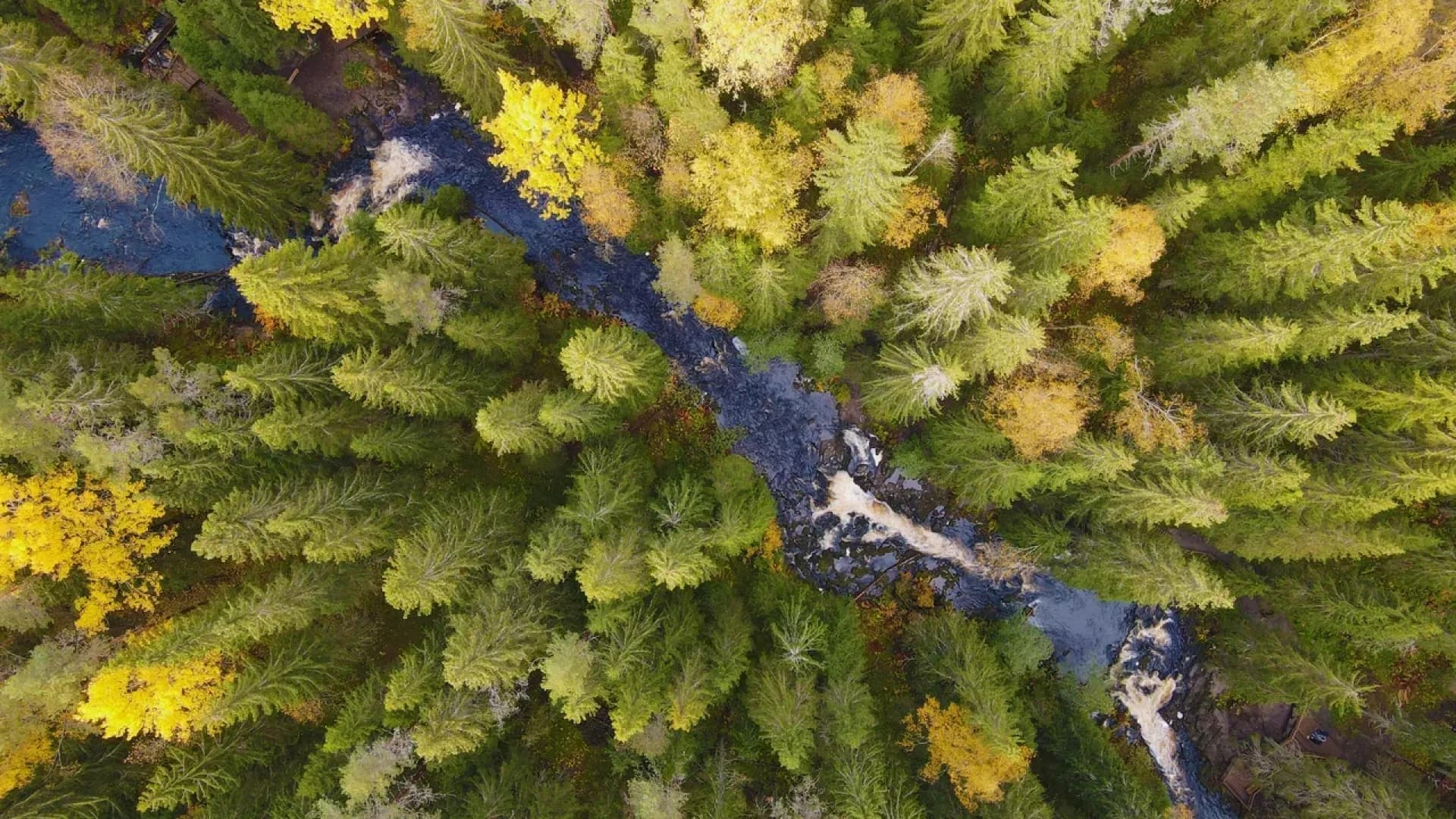 Изображение услуги9