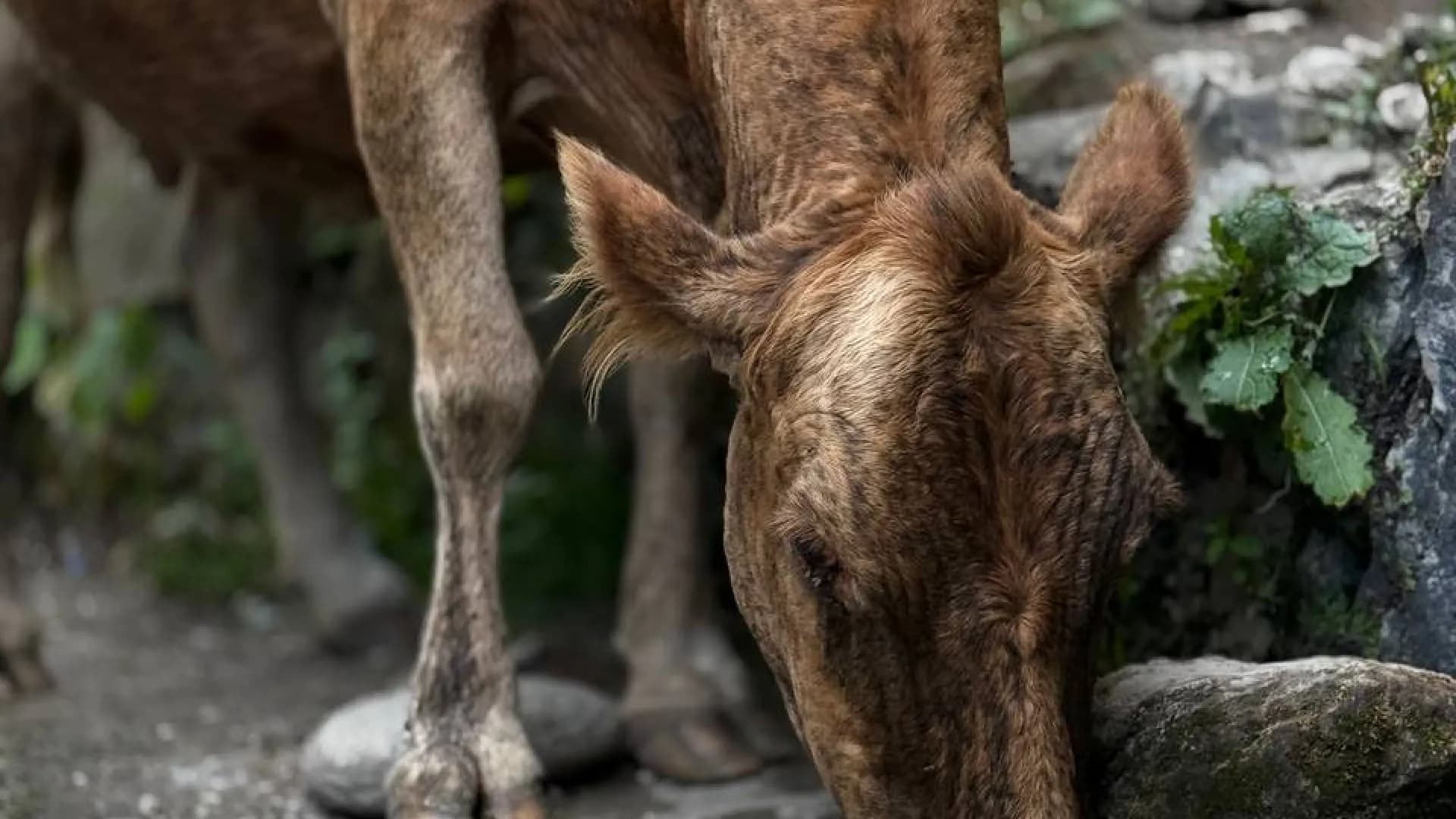 Изображение услуги6