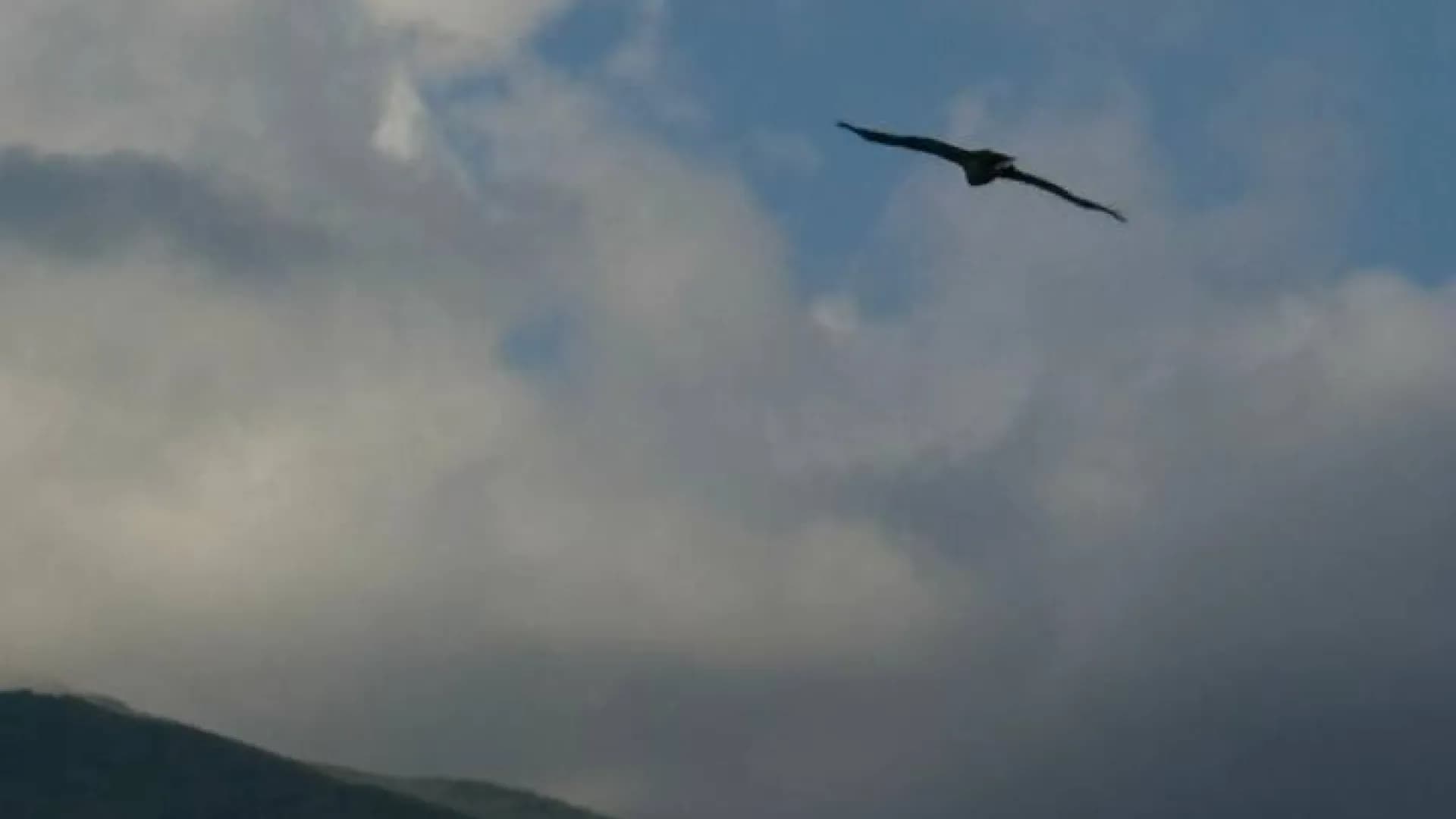 Изображение услуги8