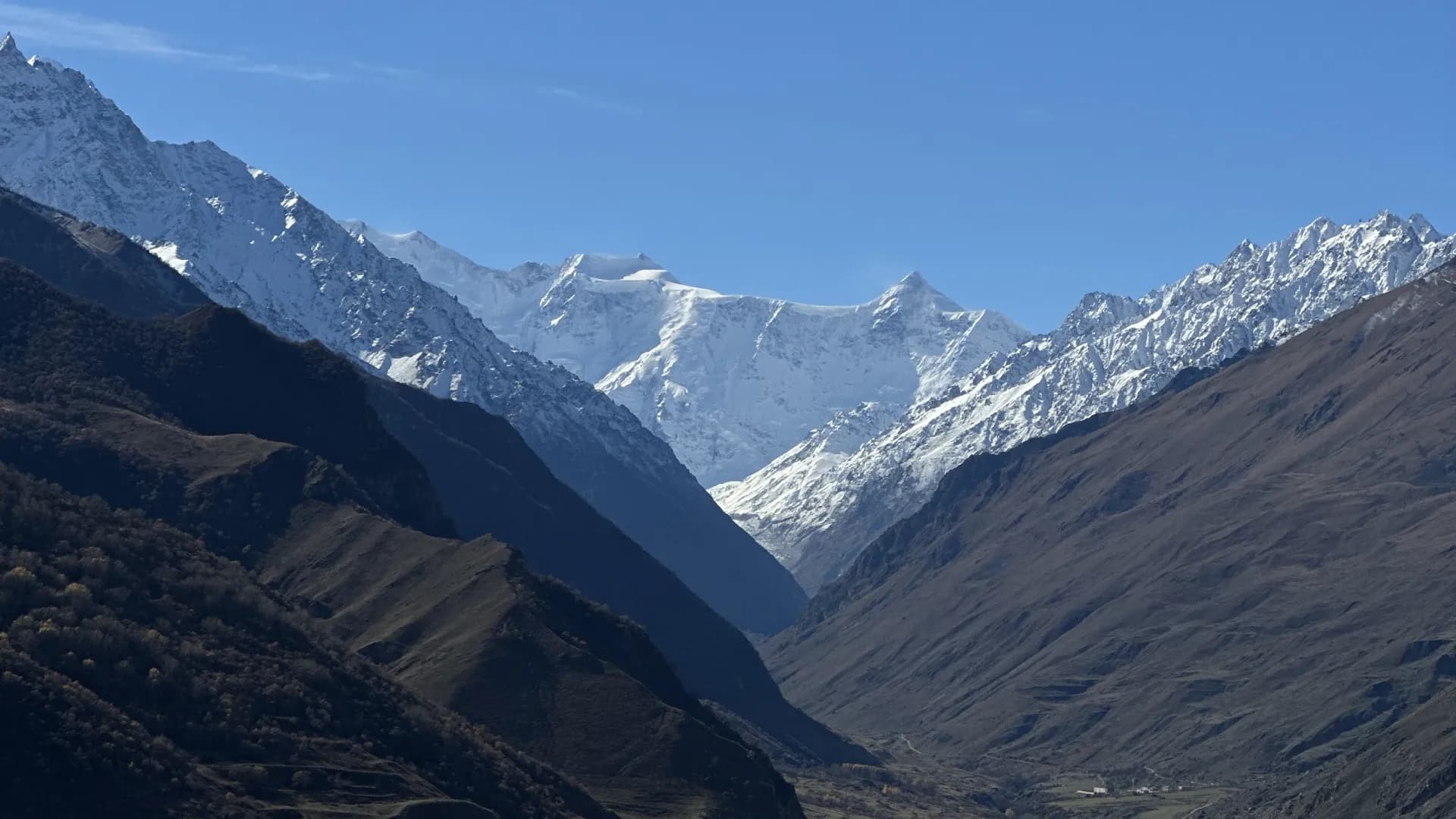 Изображение услуги12