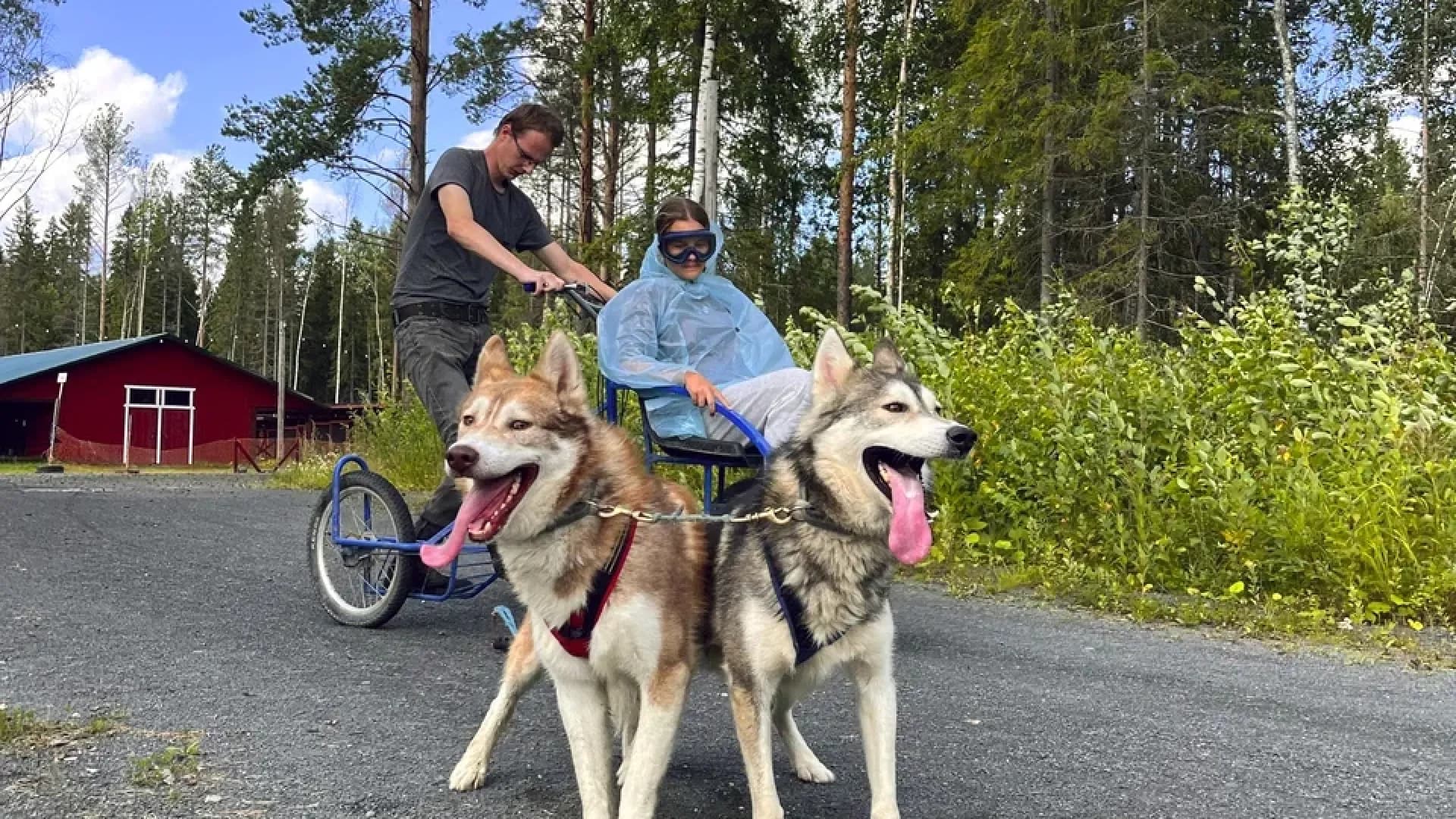 Изображение услуги1