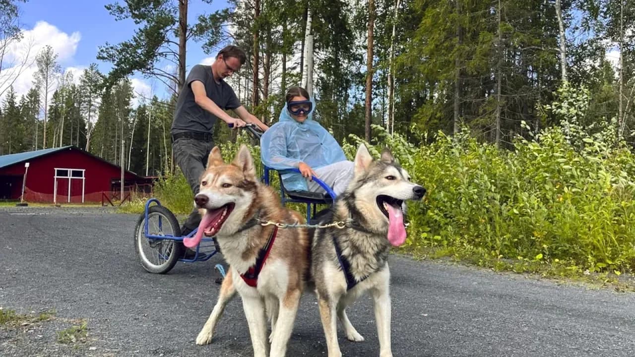 Изображение услуги1