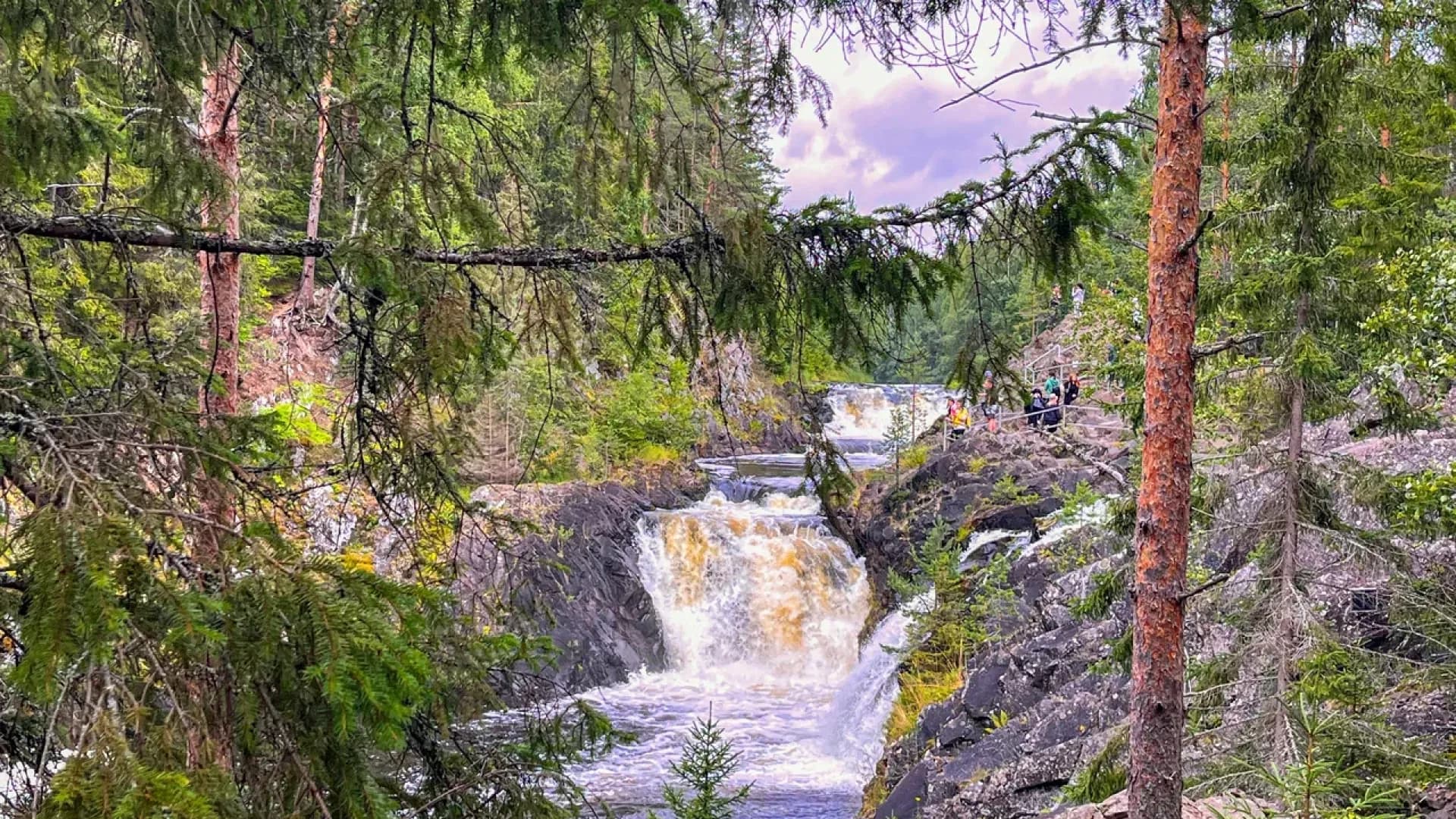 Изображение услуги4