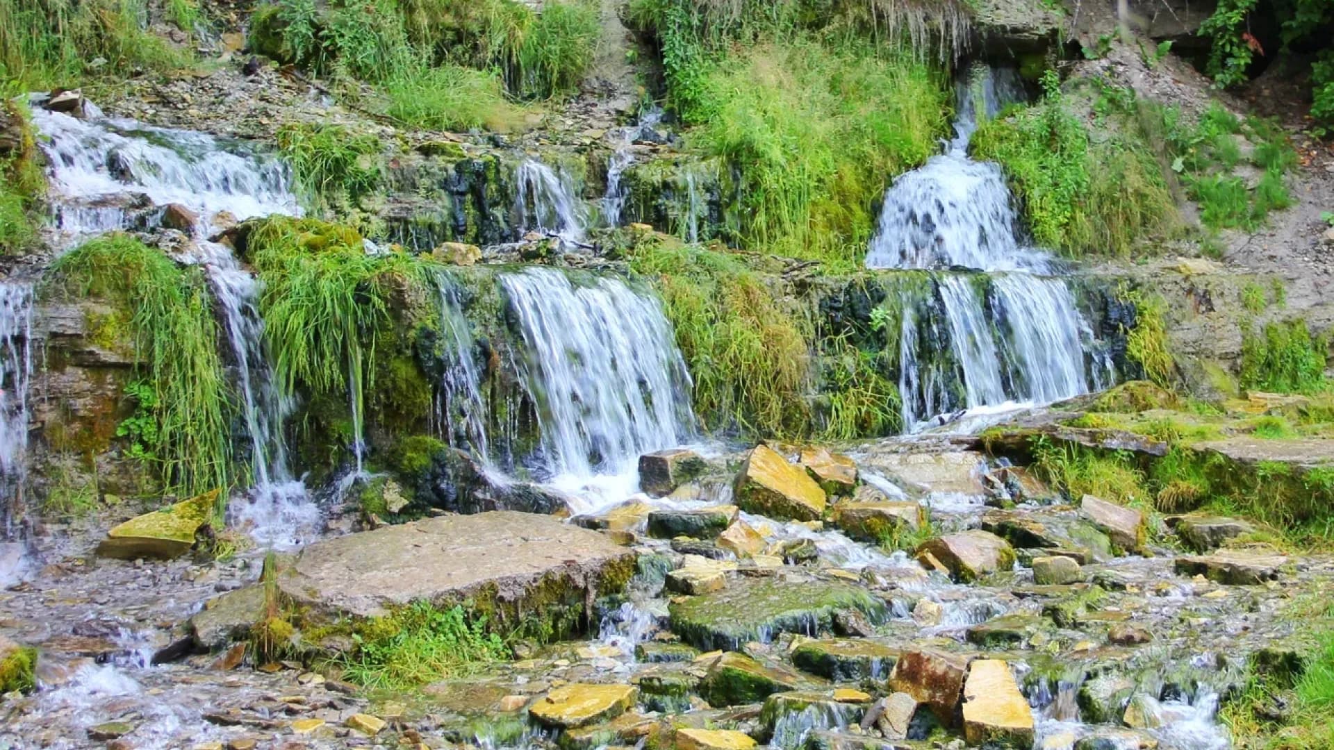 Изображение услуги4