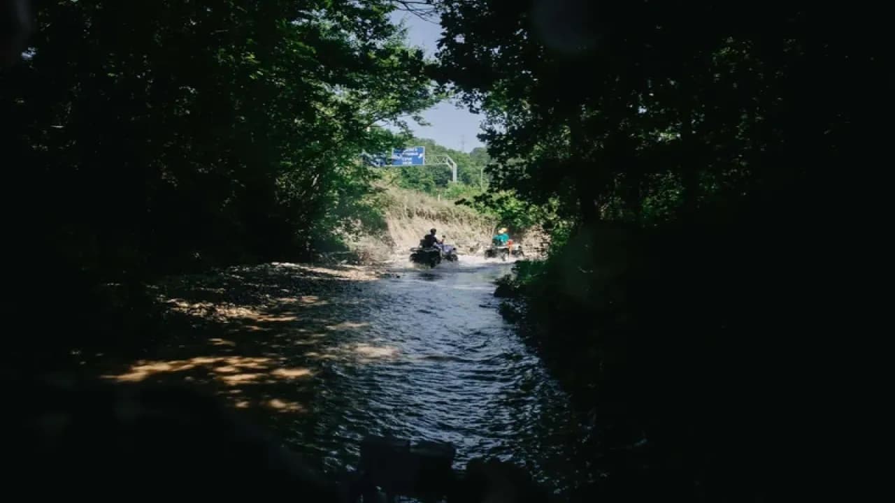 Изображение услуги2