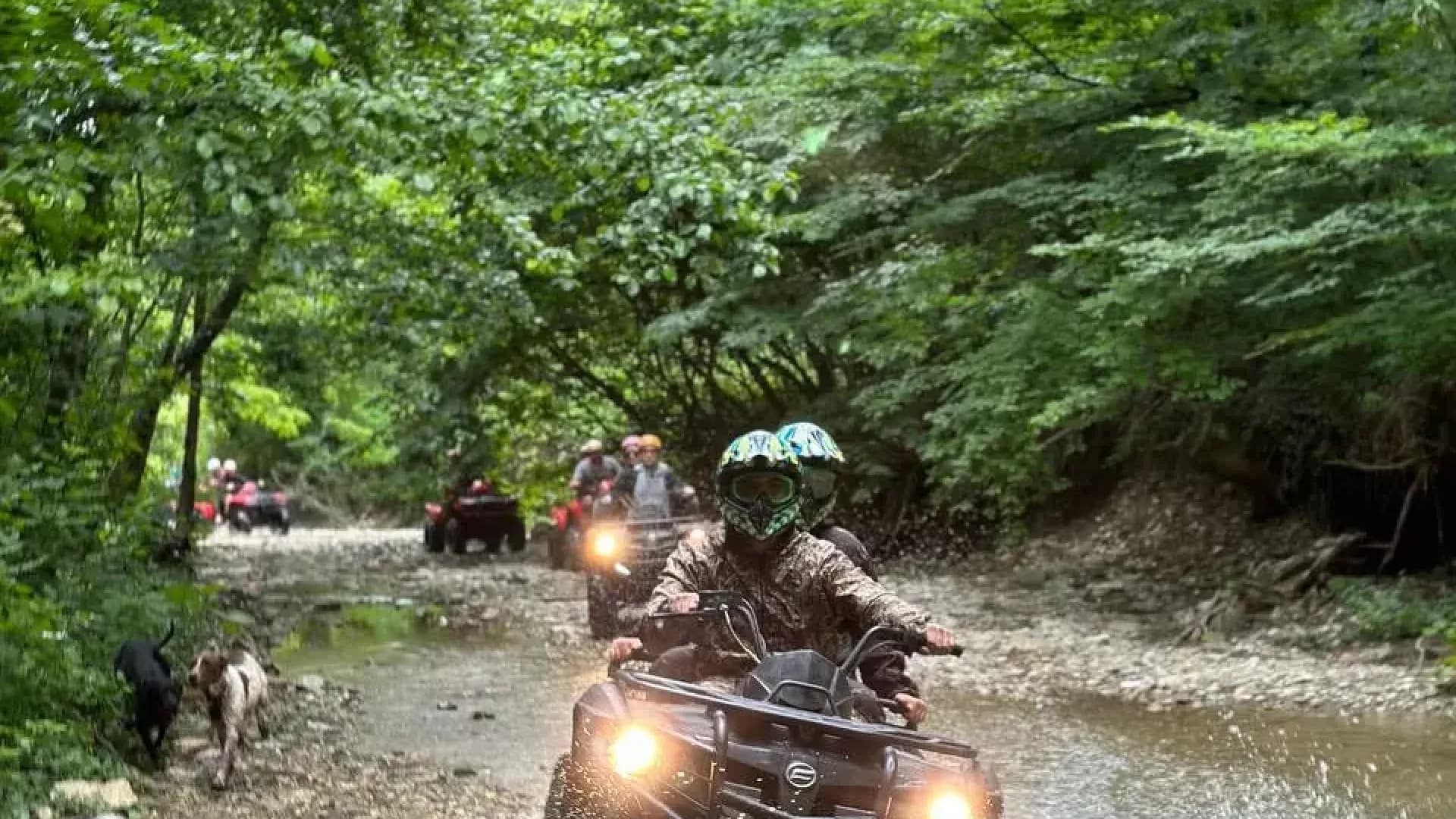 Изображение услуги4