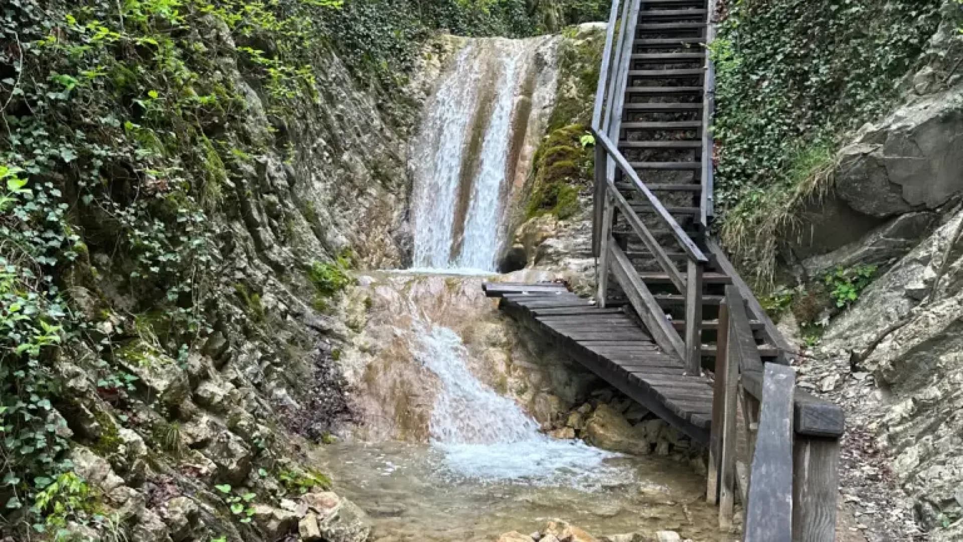 Изображение услуги0