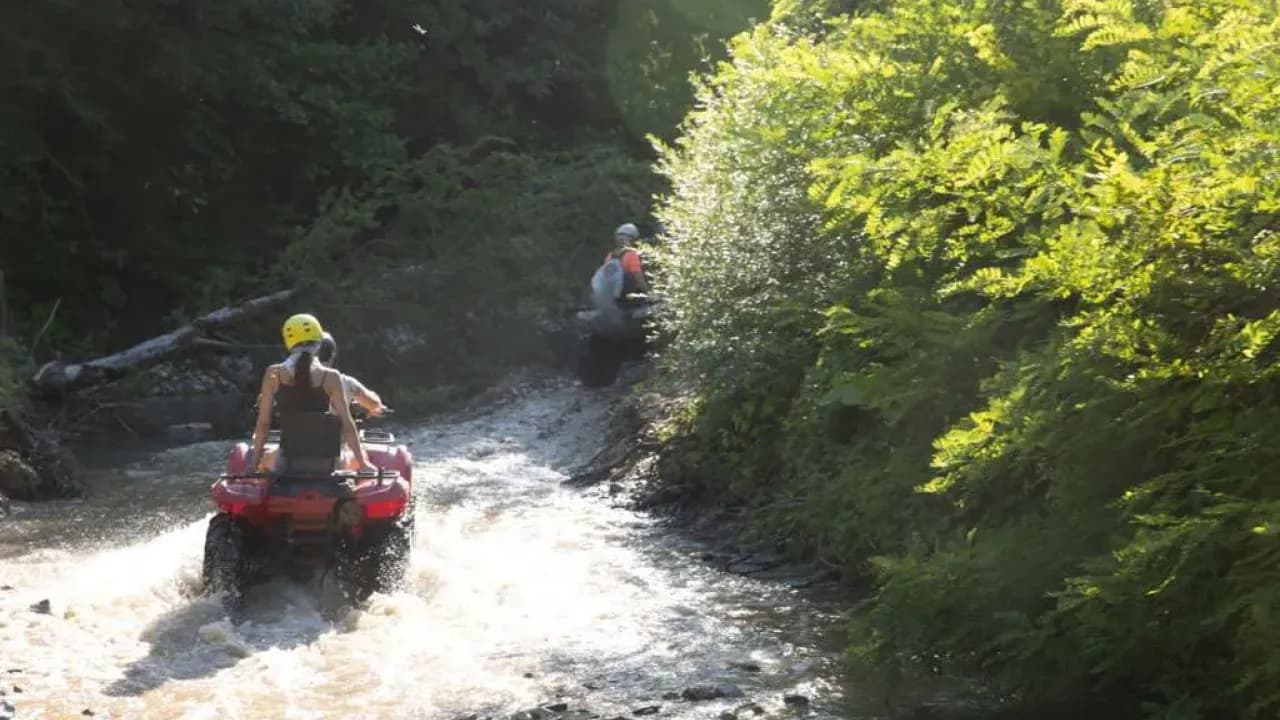 Изображение услуги2