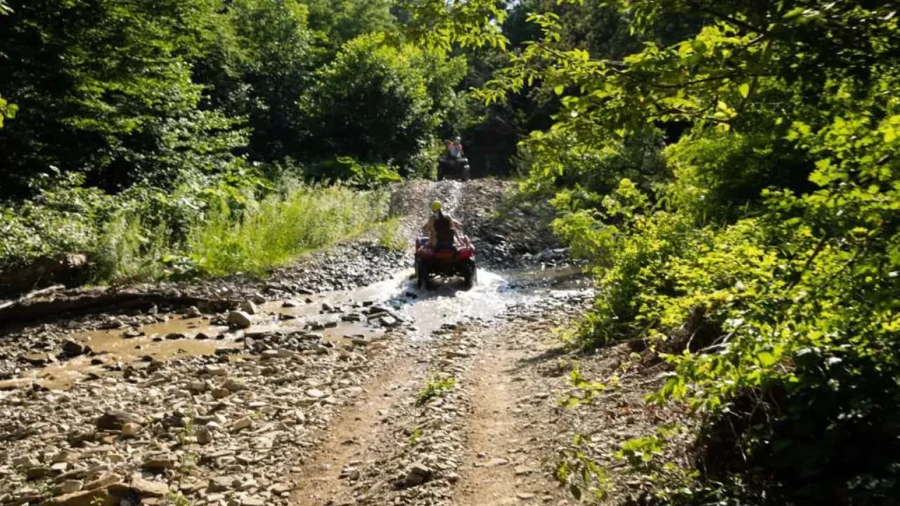 Изображение услуги3