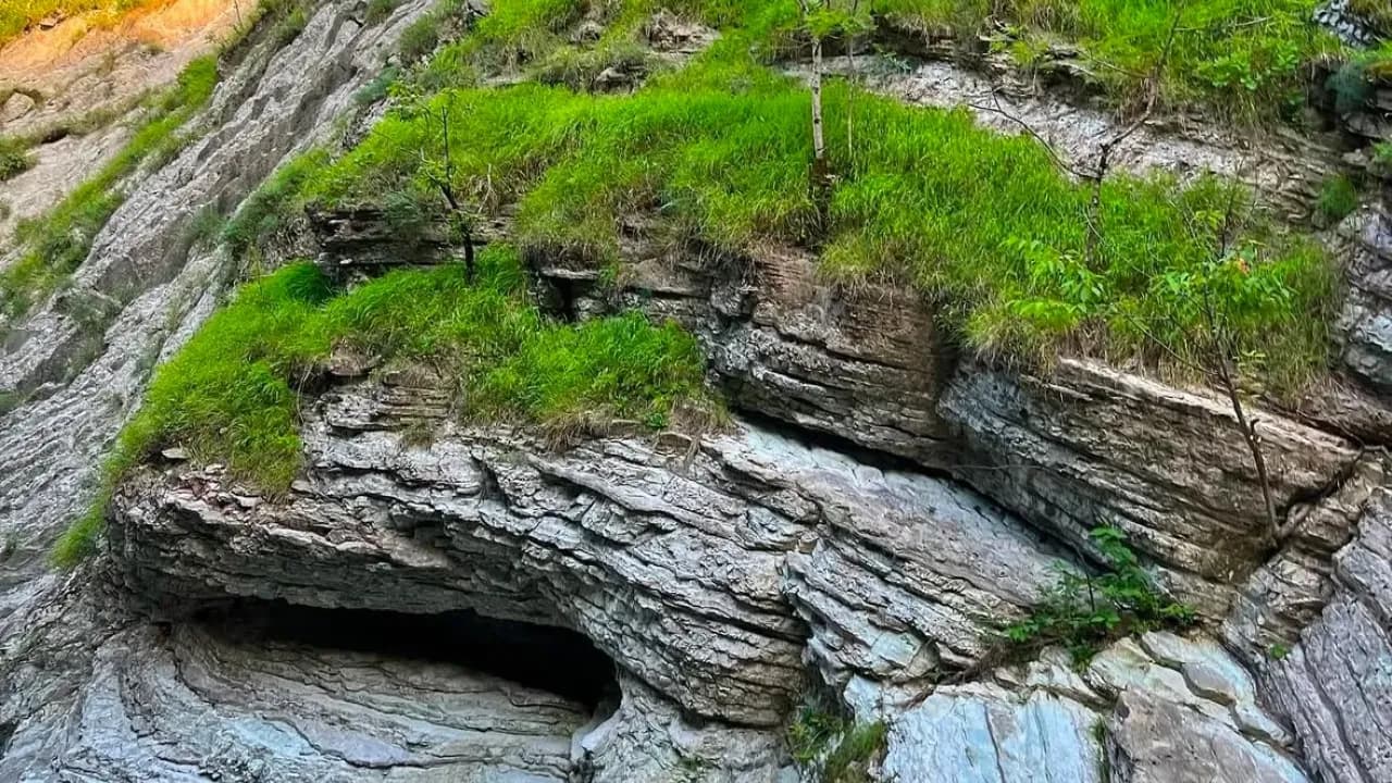 Изображение услуги4