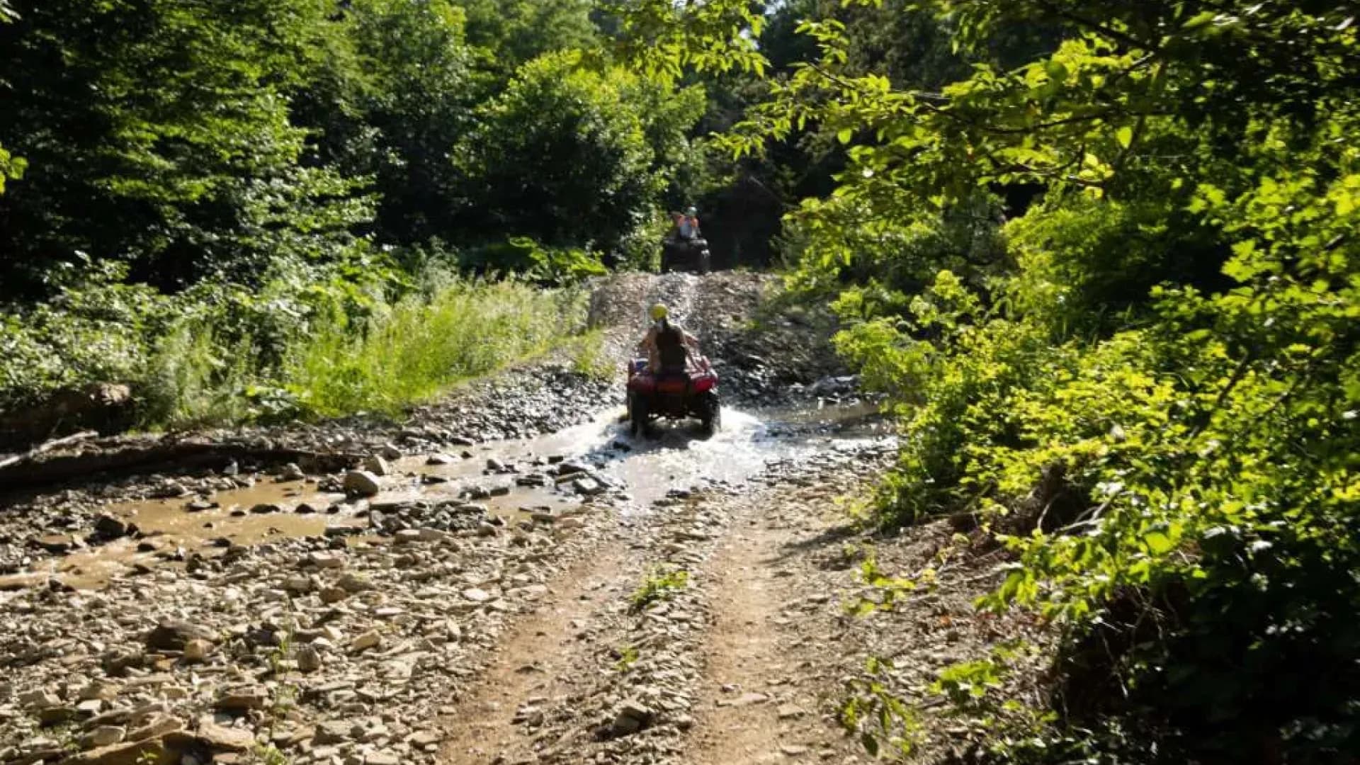 Изображение услуги7