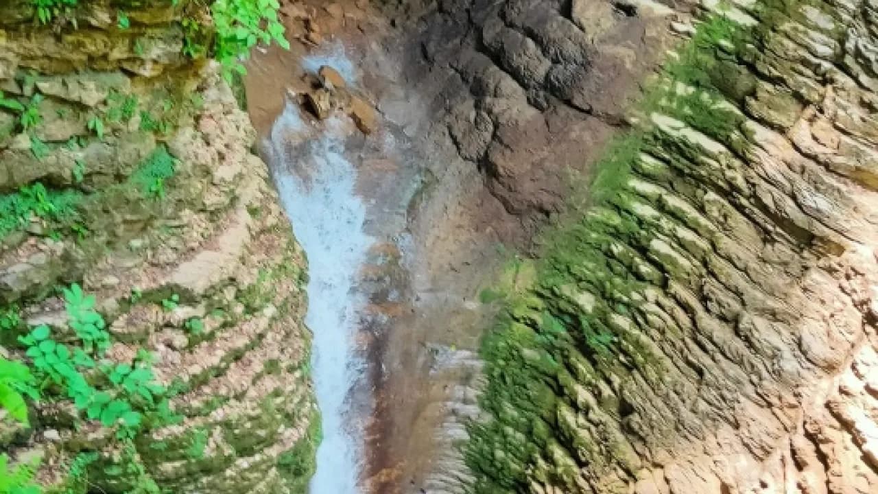 Изображение услуги1