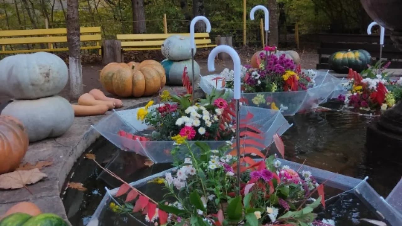 Изображение услуги2