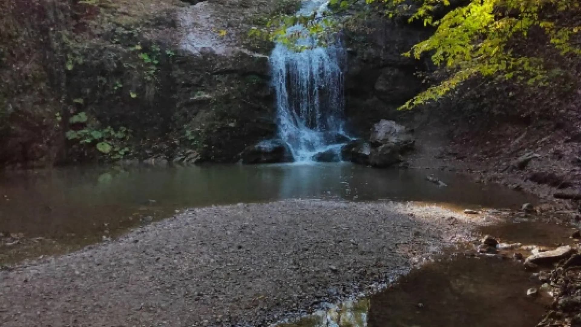 Изображение услуги3