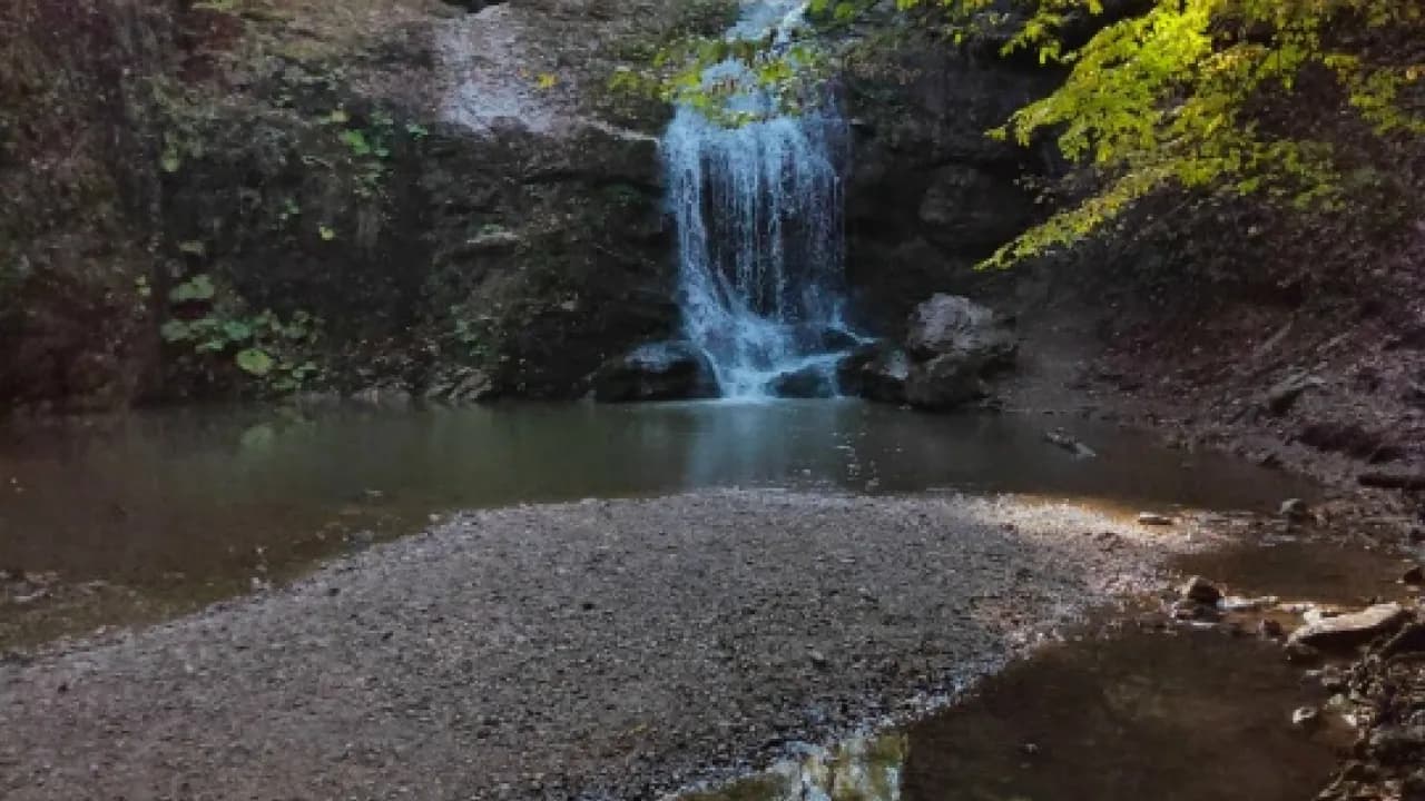 Изображение услуги3