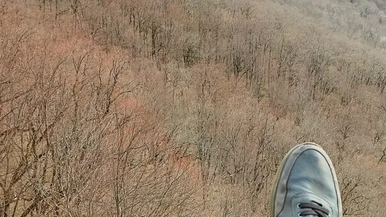 Изображение услуги1