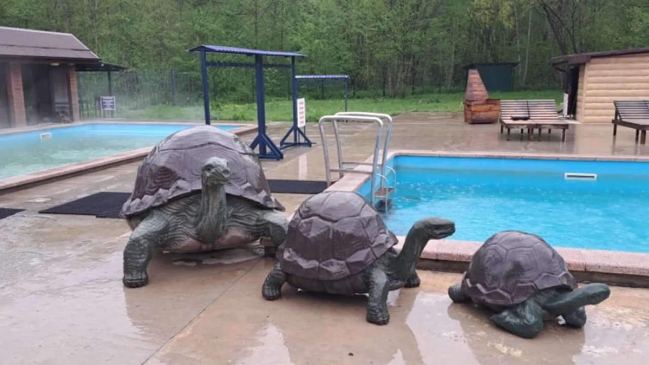 Изображение услуги2