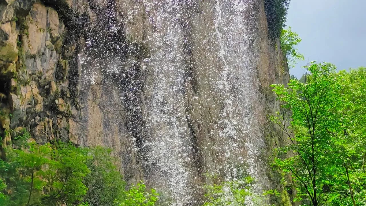 Изображение услуги3