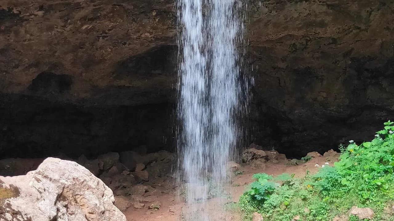 Изображение услуги4