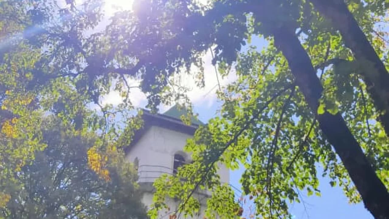 Изображение услуги2