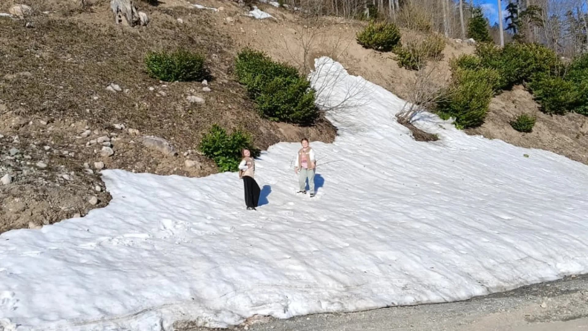 Изображение услуги2