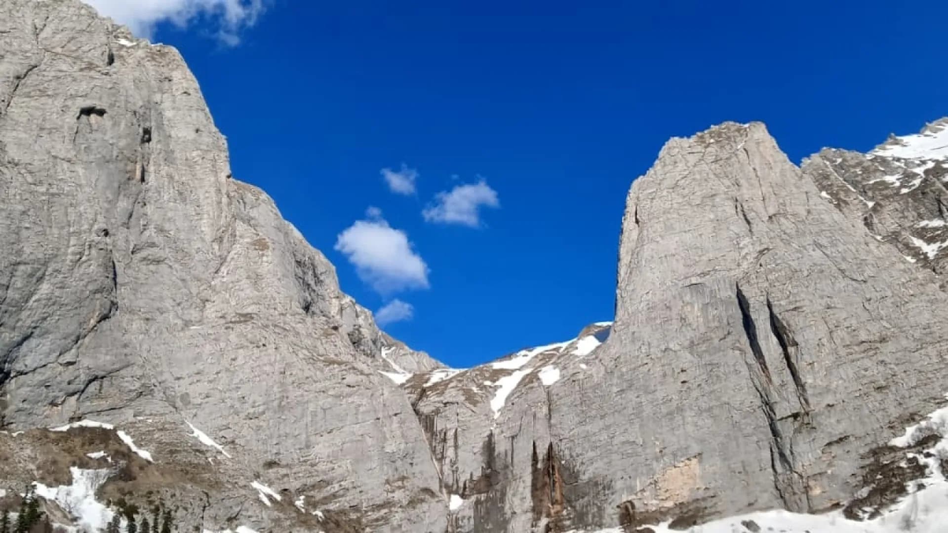 Изображение услуги4