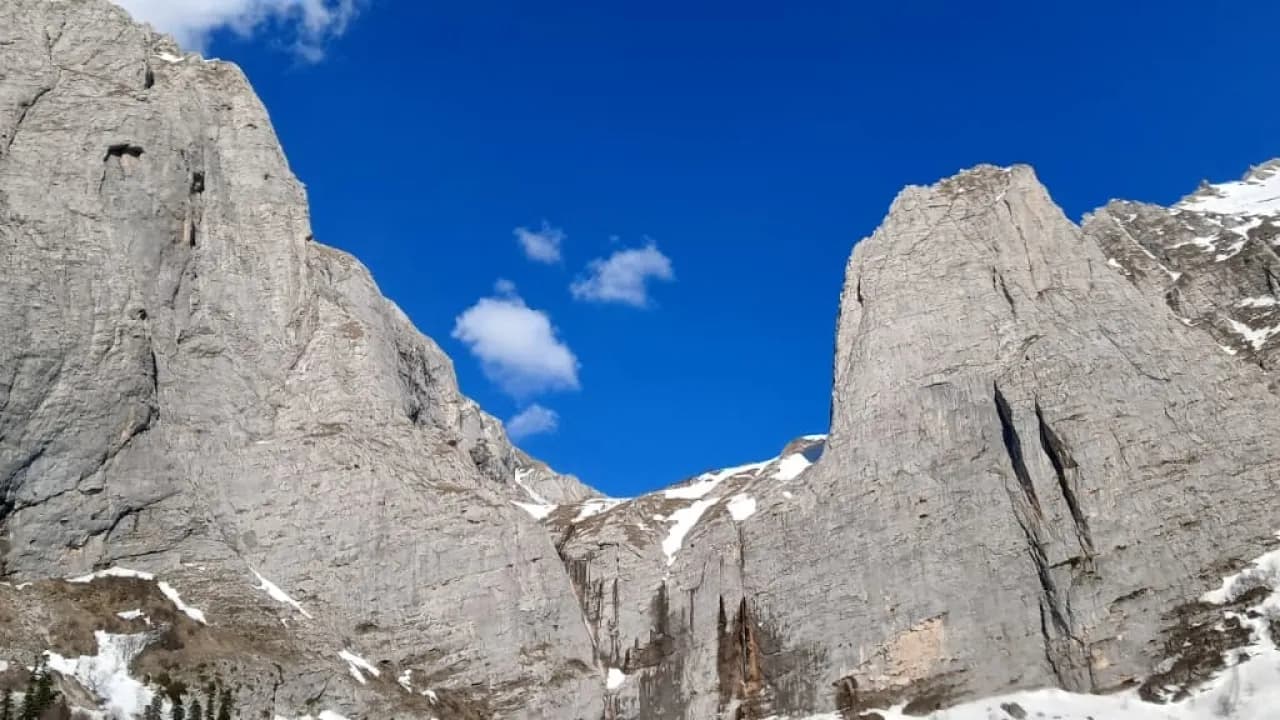 Изображение услуги4