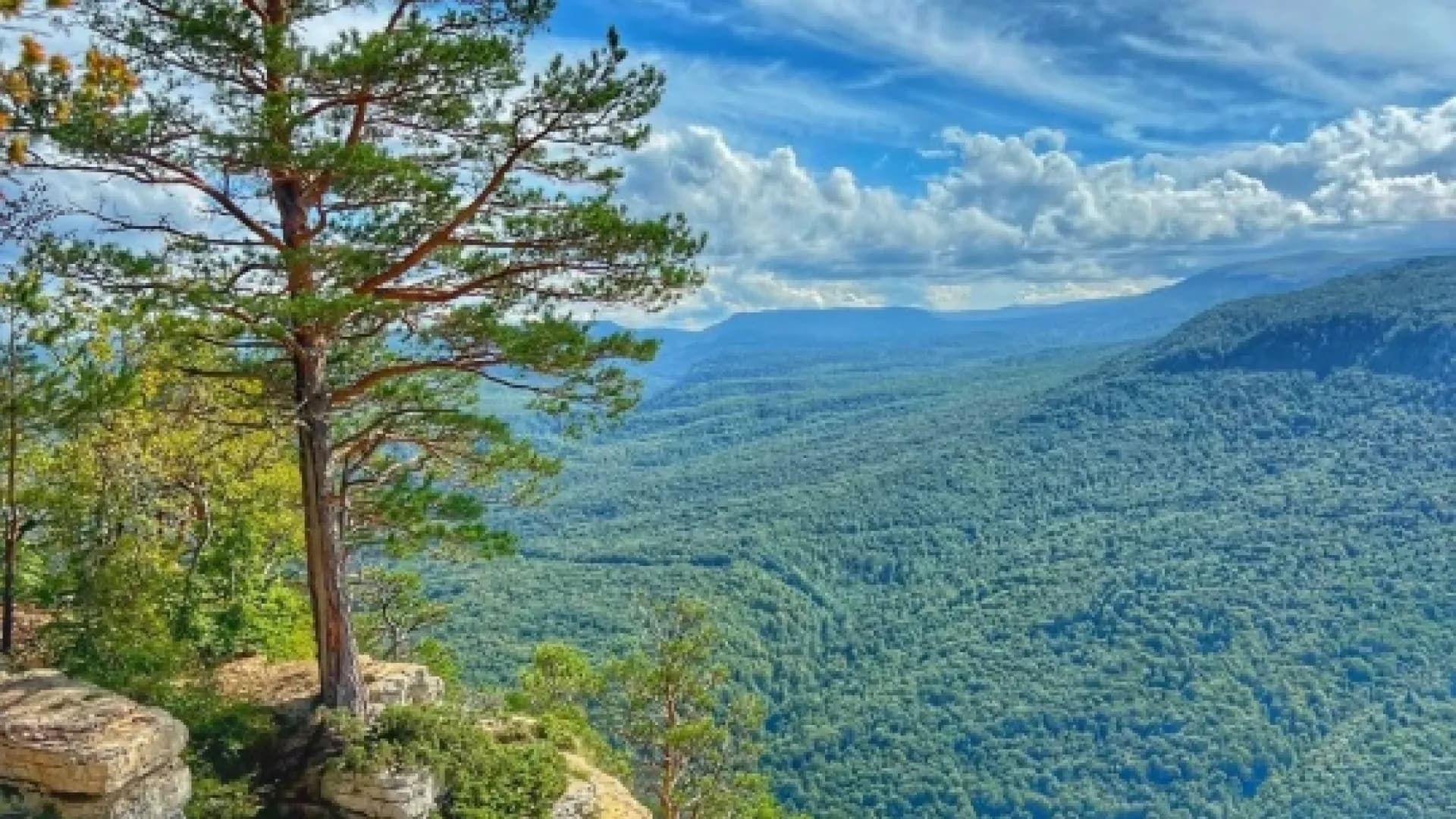 Изображение услуги0