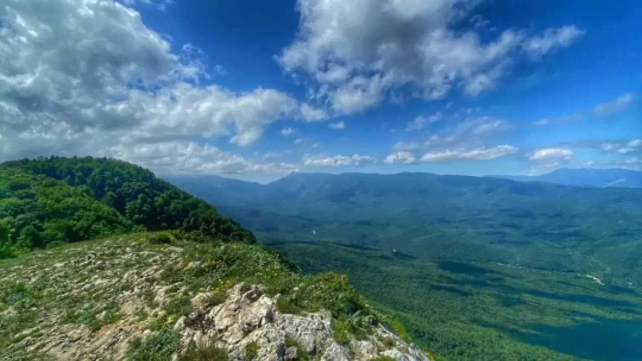 Изображение услуги3