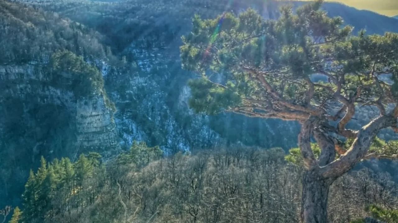 Изображение услуги2