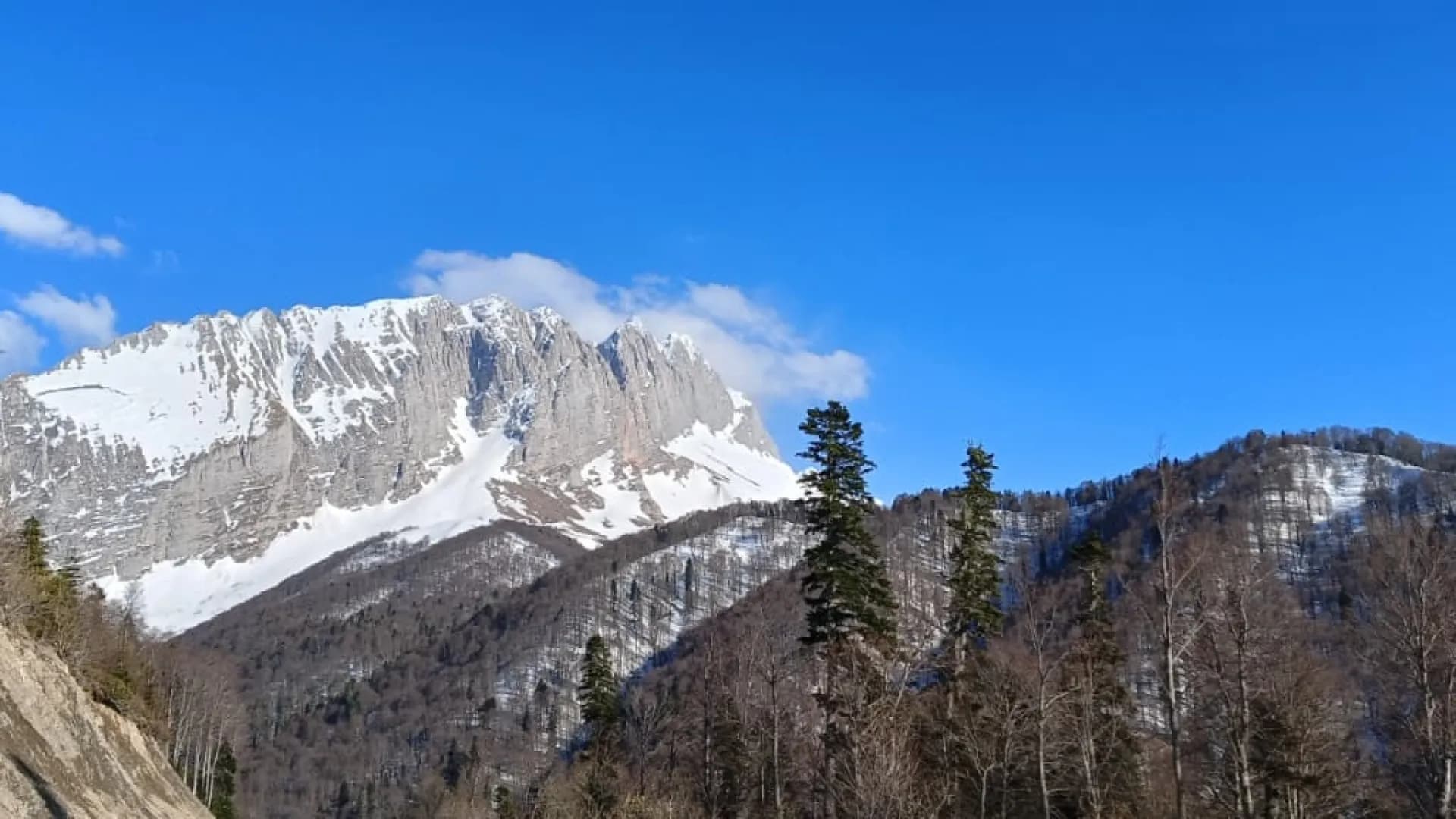 Изображение услуги4