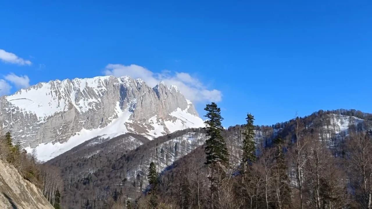 Изображение услуги4