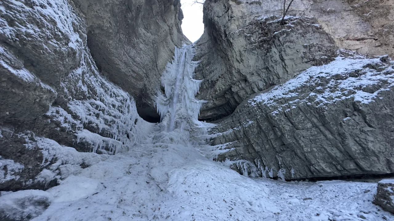 Изображение услуги4