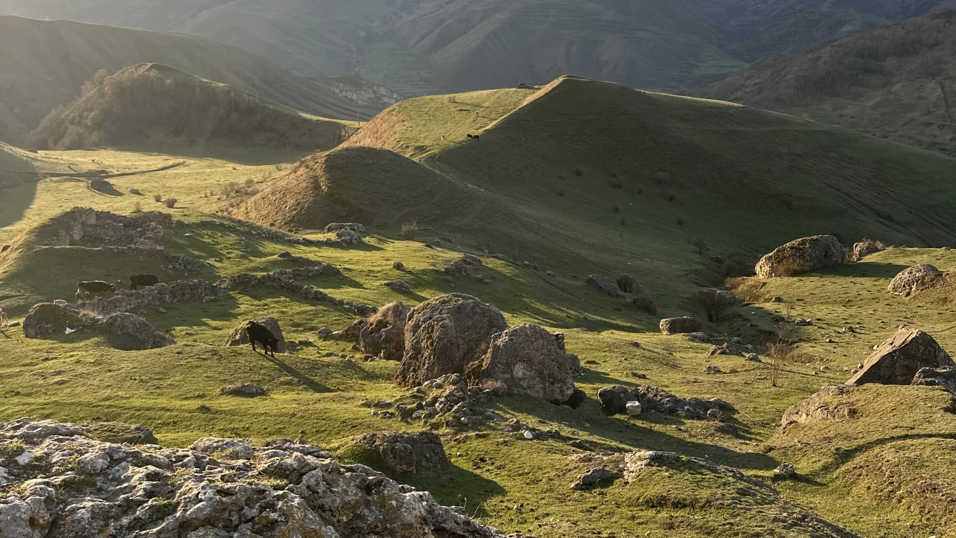 Изображение услуги7