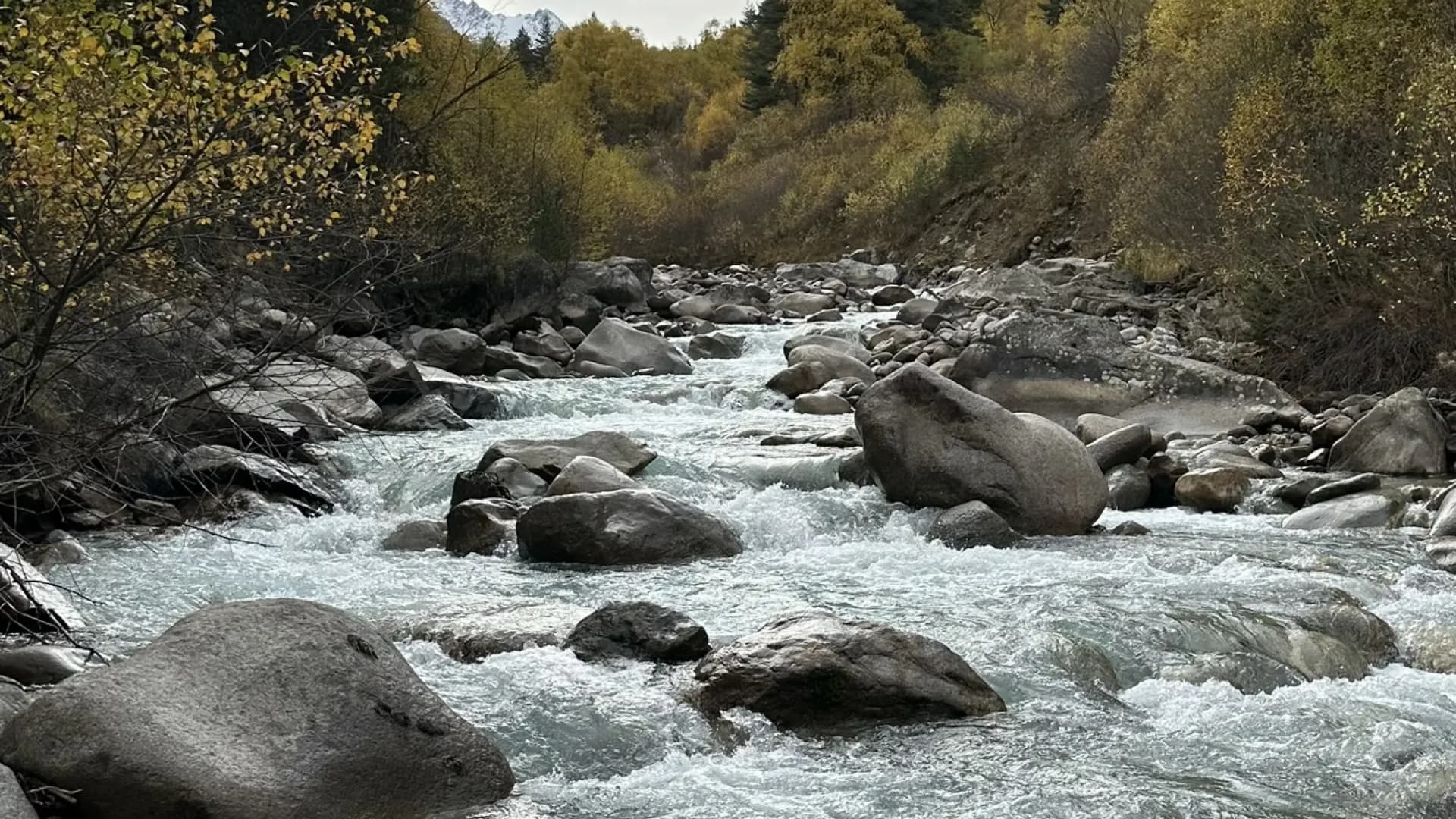 Изображение услуги3