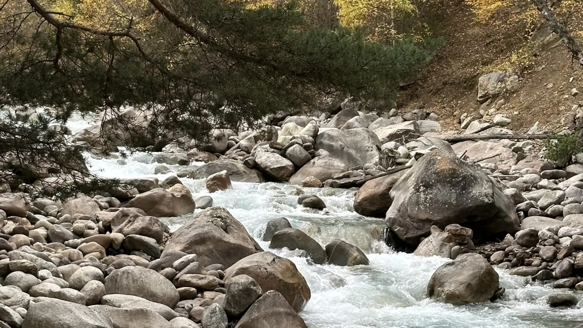 Изображение услуги4