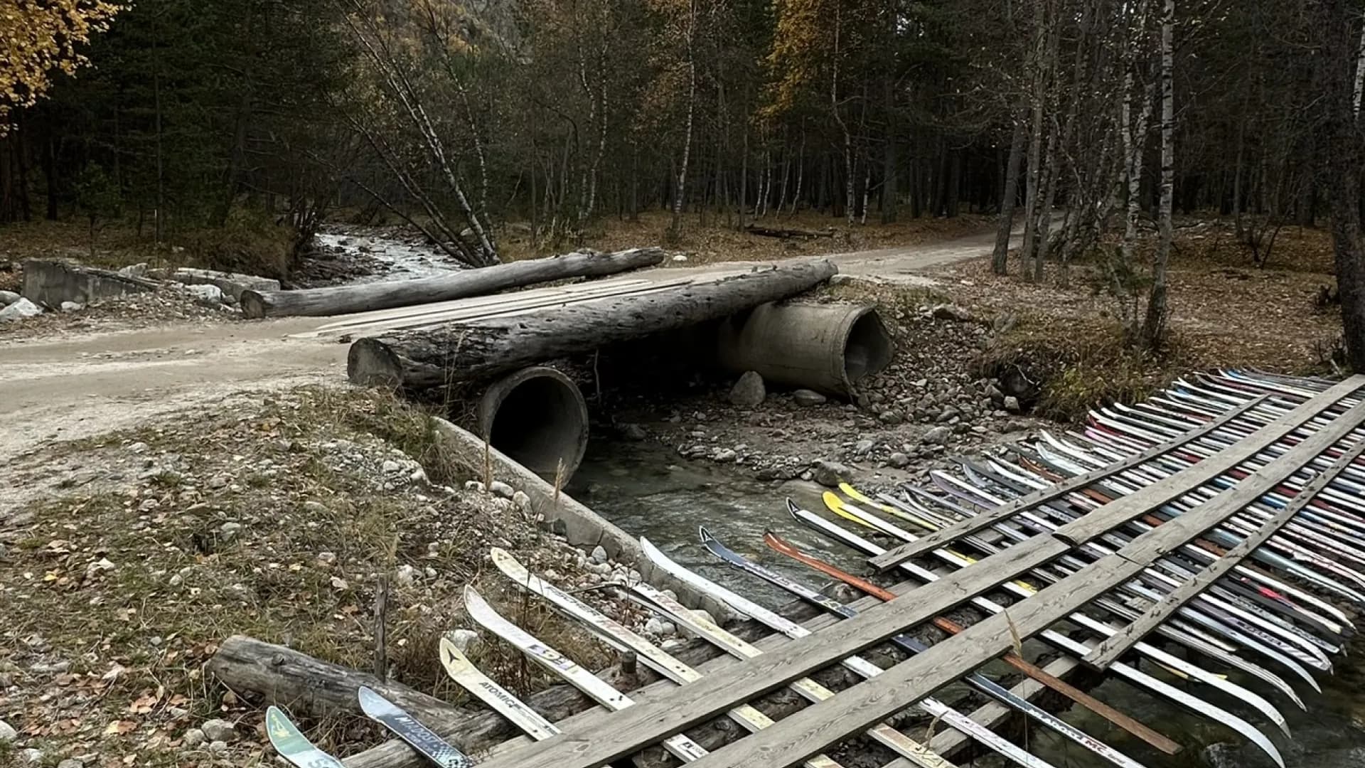 Изображение услуги7