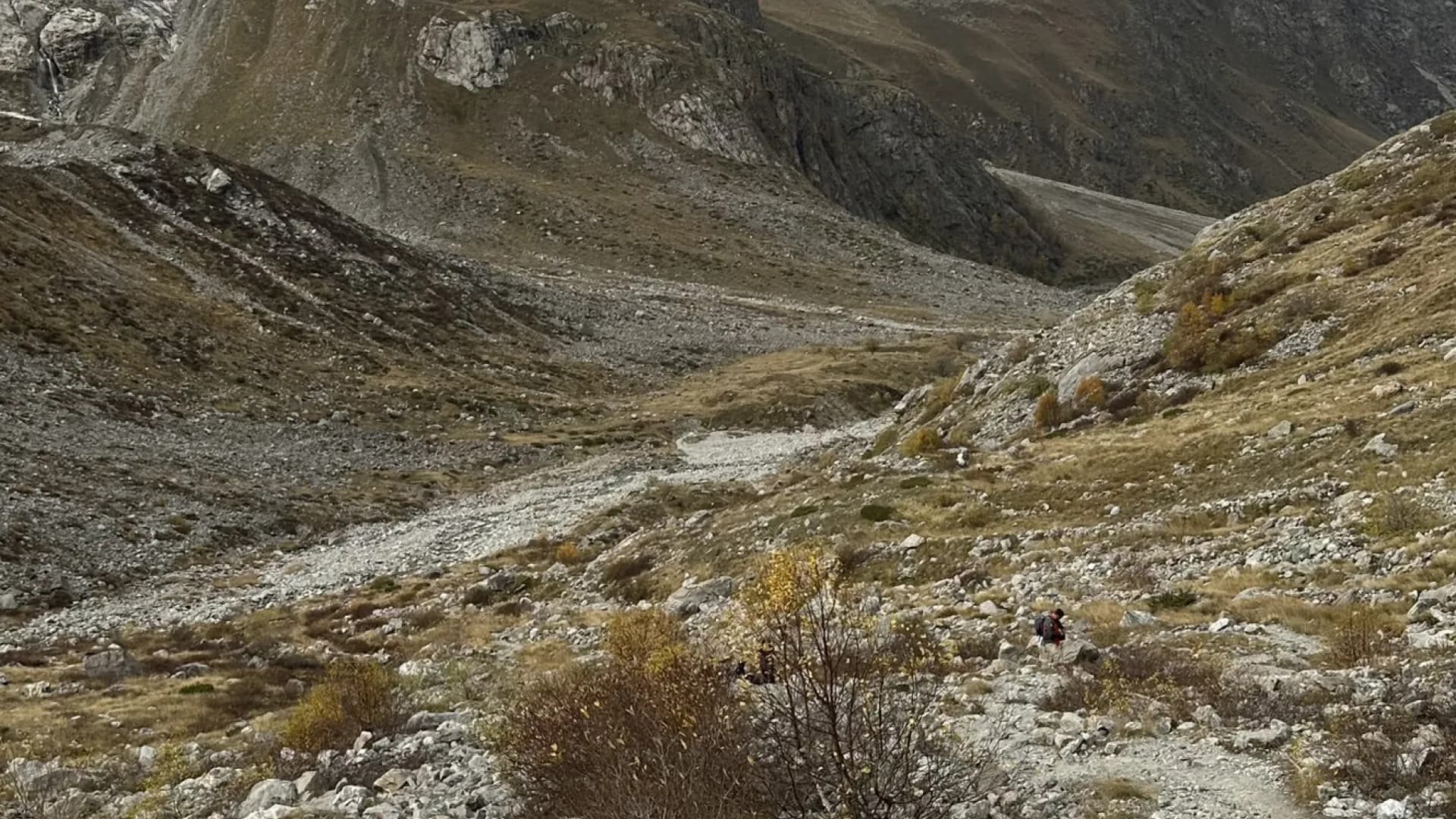 Изображение услуги10