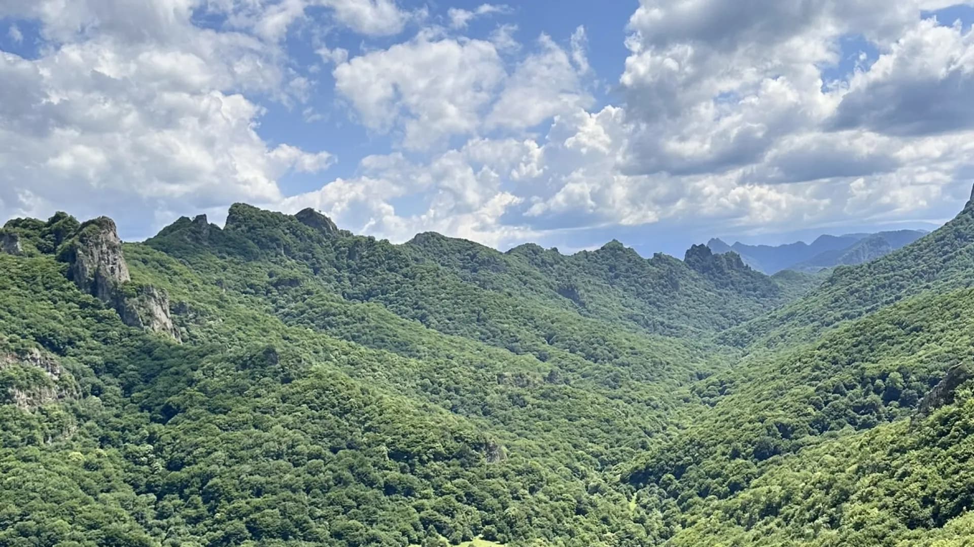 Изображение услуги1